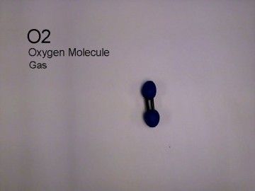 ck_image5690198d29_56902d7dd524e