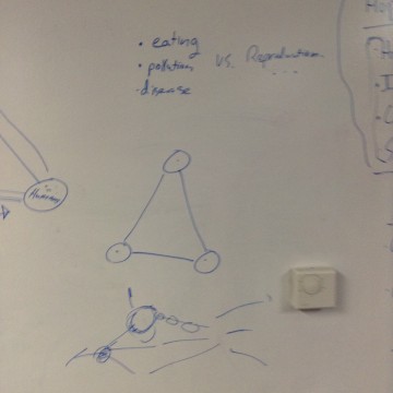 img_0716_568e75dc5ca2d