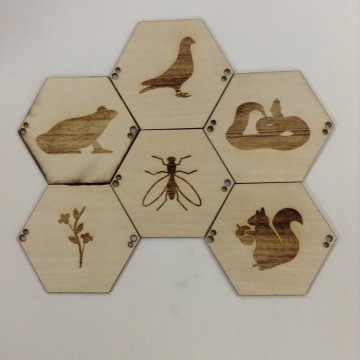 img_0726_568d7419ae0ef