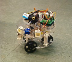 5589806330_7ce275cf5a_o