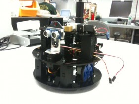 laser-cut-precipitating-pachyderm