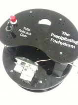 laser-cut-precipitating-pachyderm-top