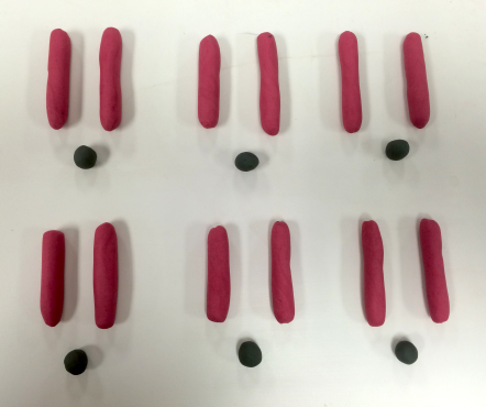 claychromosomepieces_568e82359cf74