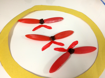 drawigngrowingchromosomes_568e84145f9bc