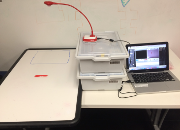 initialsetupcamera_568e839b5e52e