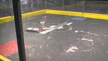 jumbonator-vs-placebo